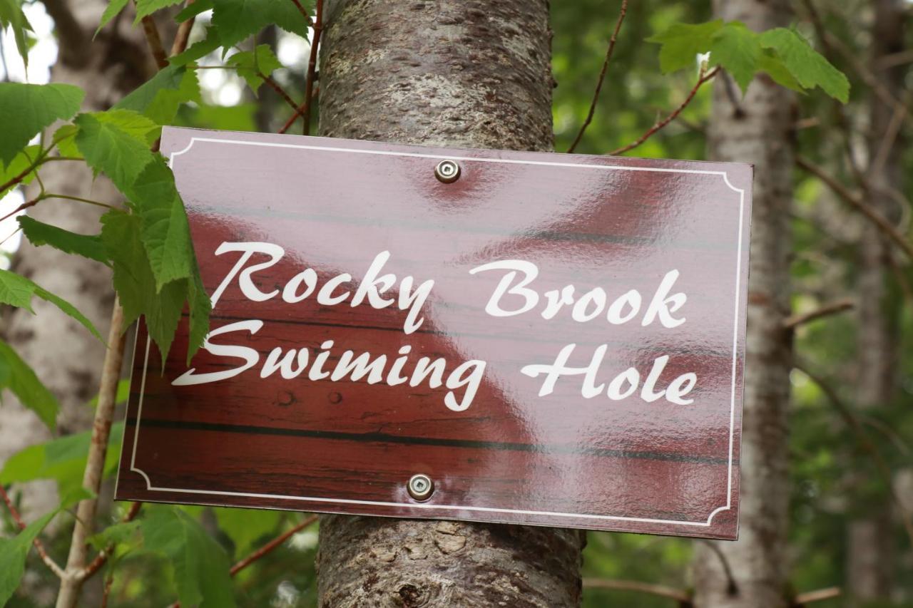 Rocky Brook Acres Ξενοδοχείο Cormack Εξωτερικό φωτογραφία